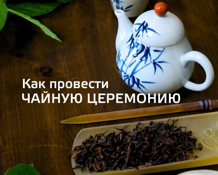 Как правильно провести чайную церемонию|Видео о чае и чайной посуде