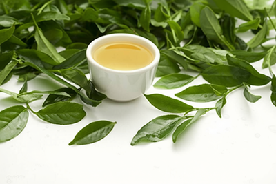 Фото Чем полезен зеленый чай