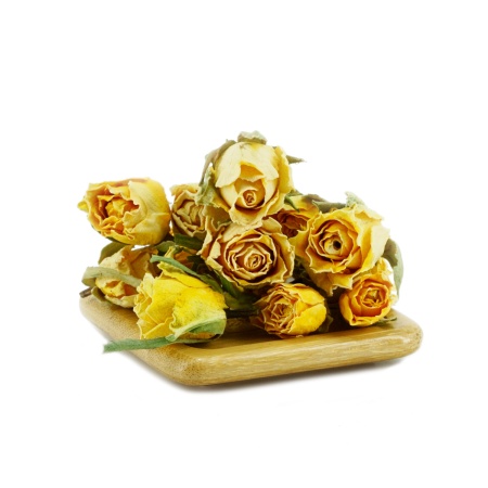 Бутоны желтой иранской розы