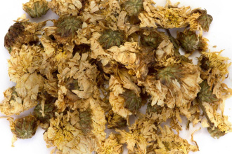 Chrysanthemum flowers (juhua)|Flowers of plants