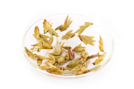 Белый чай Чае ябао 2019 г. (Чайные почки с пуэрных деревьев)