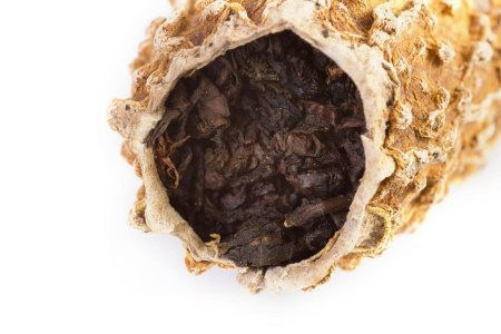 CL-486Тегуаньинь кугуа (Те гуань инь в китайской горькой тыкве кхукуа).