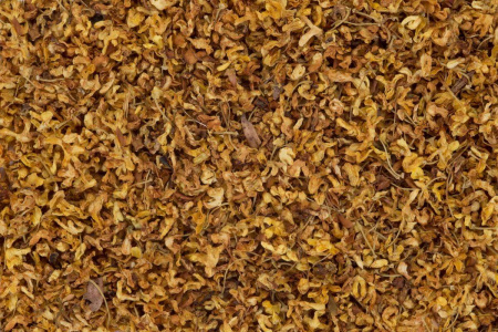 Османтус душистый (гуйхуа)|Цветки растений